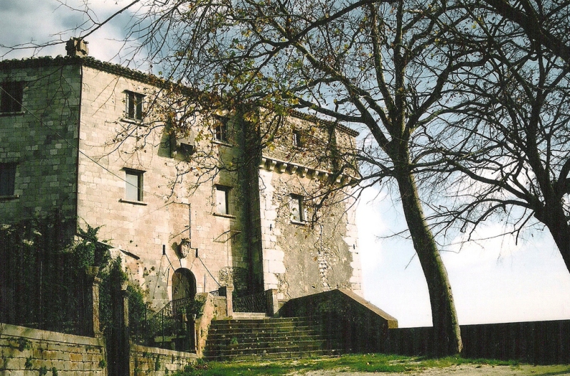 Foto storica del castello